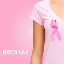 BRCA2 ملخص عن جين